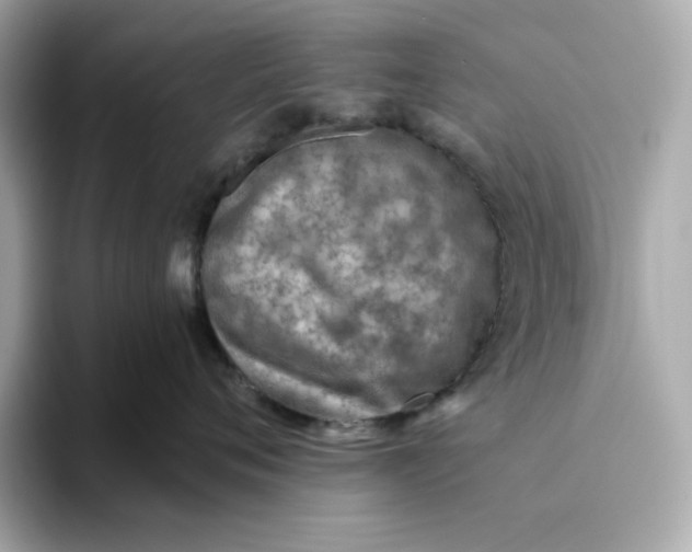 X0000093510720200711021028