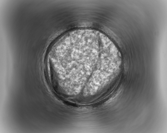 X0000093510721200711021027