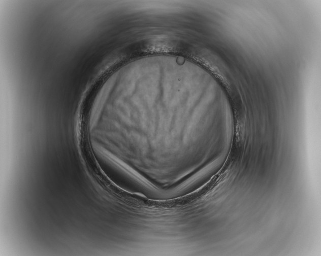 X0000093510722200711021027