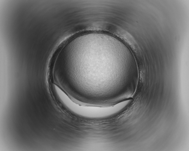 X0000093510724200711021027