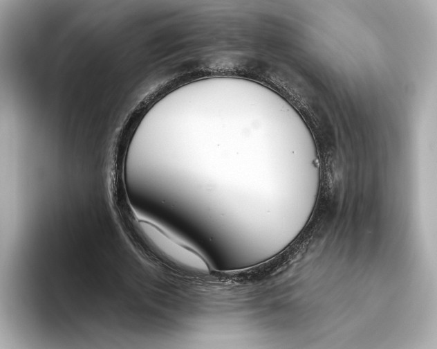 X0000093510728200711021027