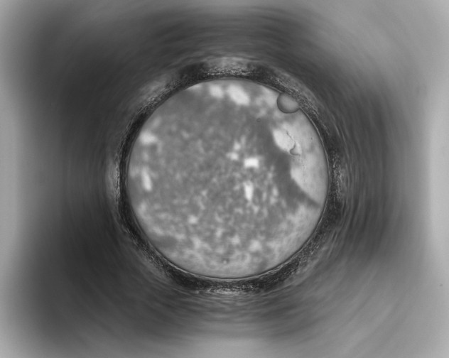 X0000093510729200711021027