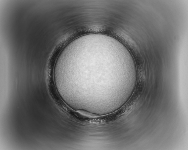 X0000093510736200711021027