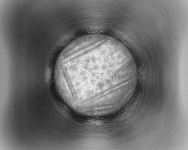 X0000093510742200711021027