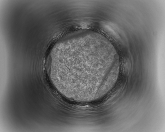 X0000093510747200711021027