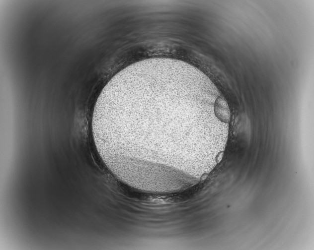 X0000093510753200711021027