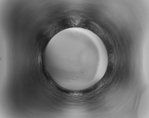 X0000093510754200711021027