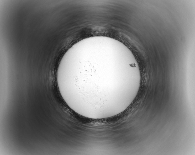 X0000093510756200711021028