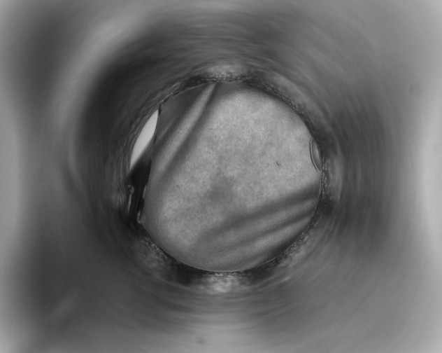 X0000093510762200711021028