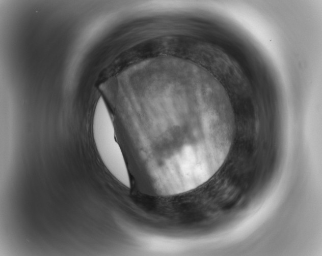 X0000093510766200711021028