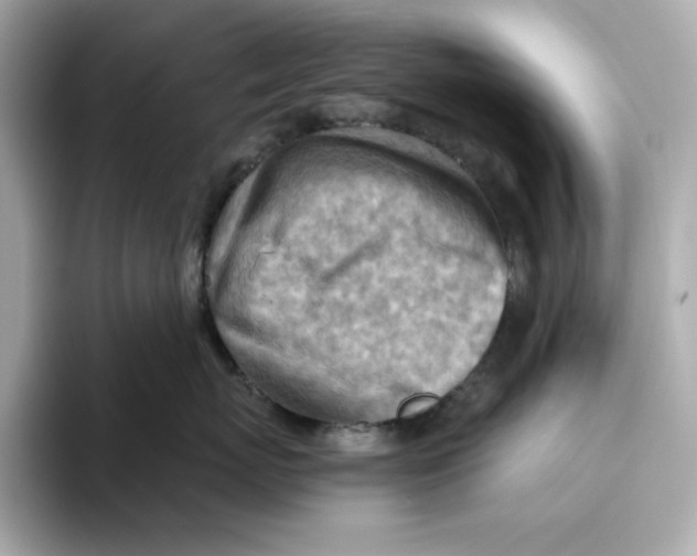 X0000093510767200711021028