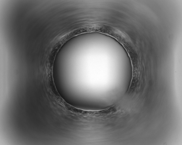 X0000093510773200711021027