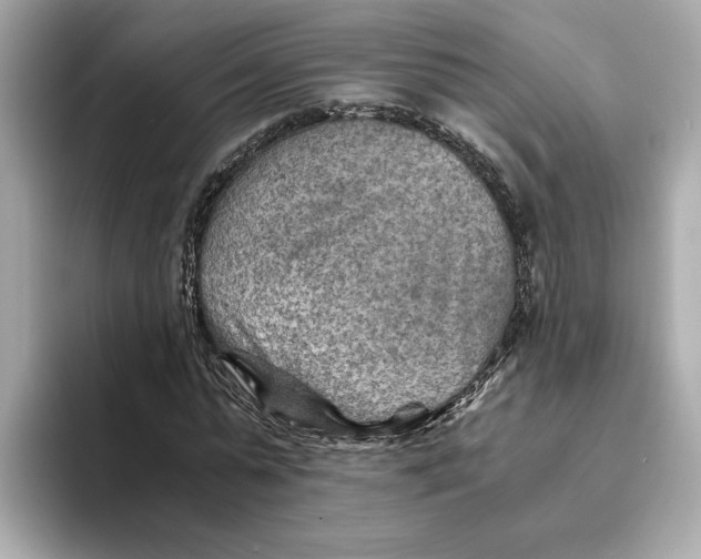 X0000093510775200711021027