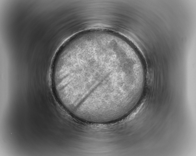 X0000093510783200711021027