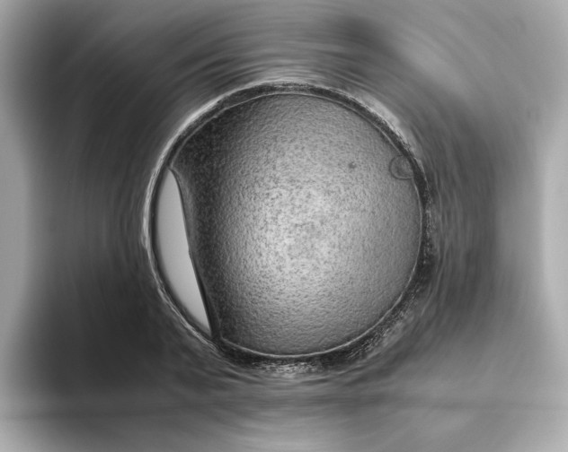 X0000093510791200711021027