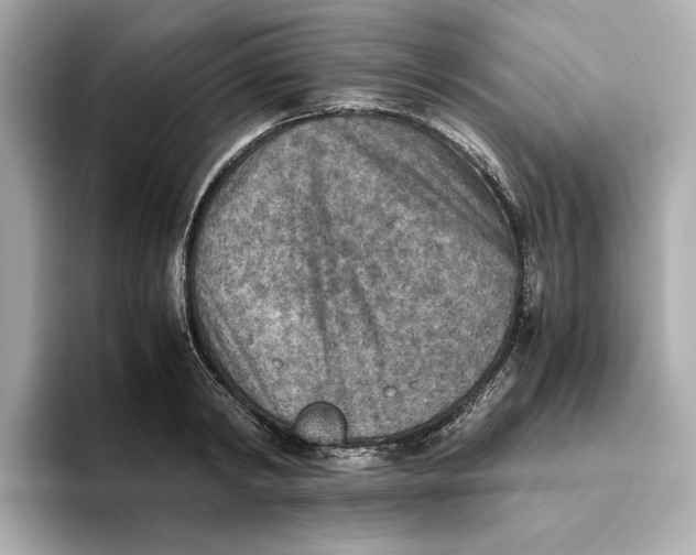 X0000093510798200711021027