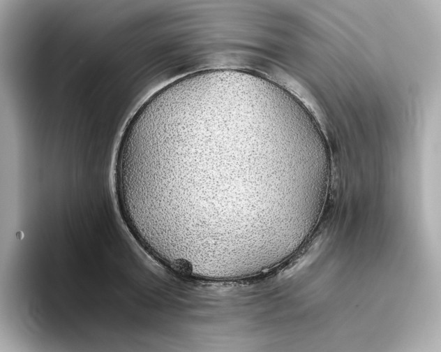 X0000093510803200711021027