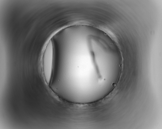 X0000093510816200711021027