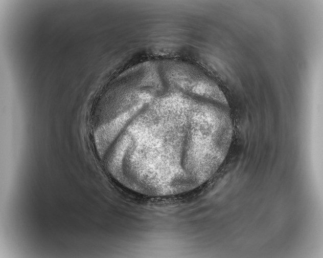 X0000093510817200711021026