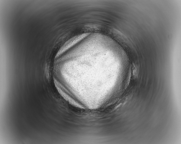 X0000093510819200711021026