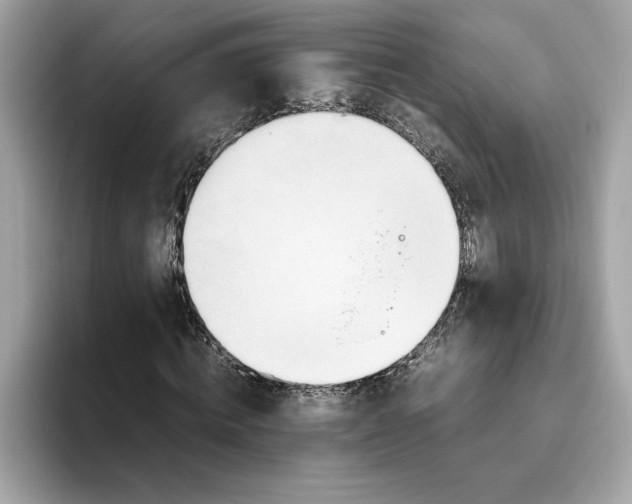 X0000093510820200711021026