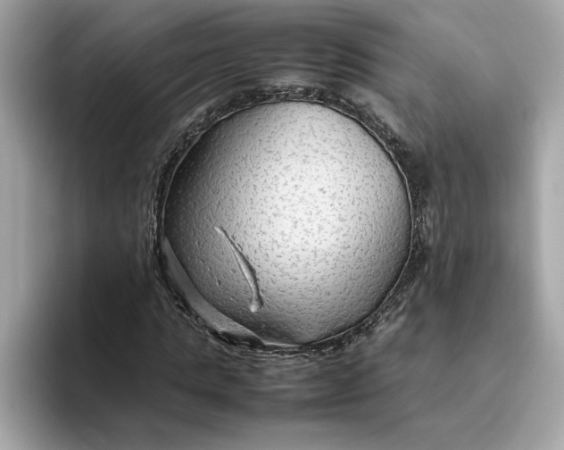 X0000093510821200711021026