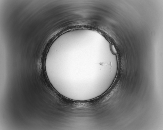 X0000093510826200711021026