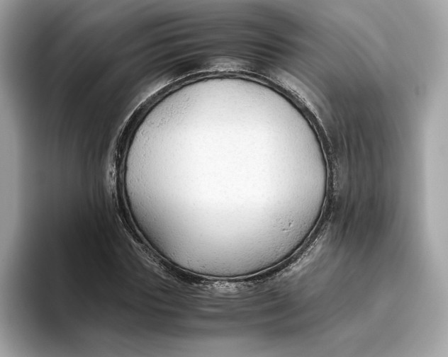 X0000093510827200711021026