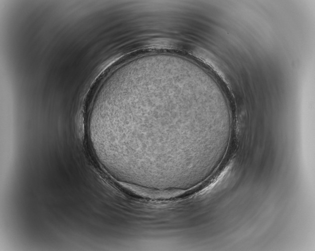 X0000093510829200711021026