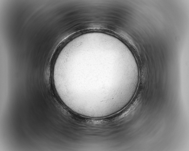 X0000093510831200711021026