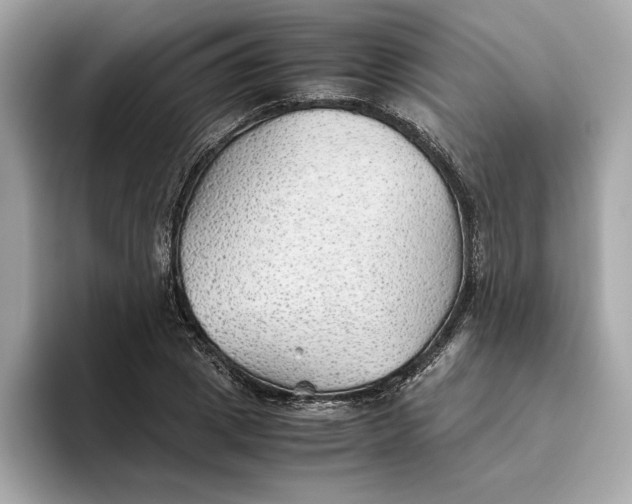 X0000093510833200711021026