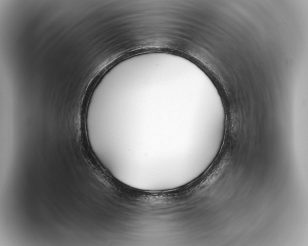 X0000093510834200711021026