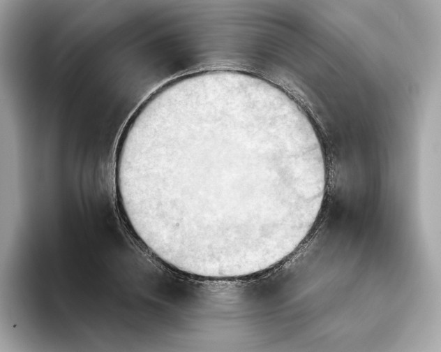 X0000093510836200711021026