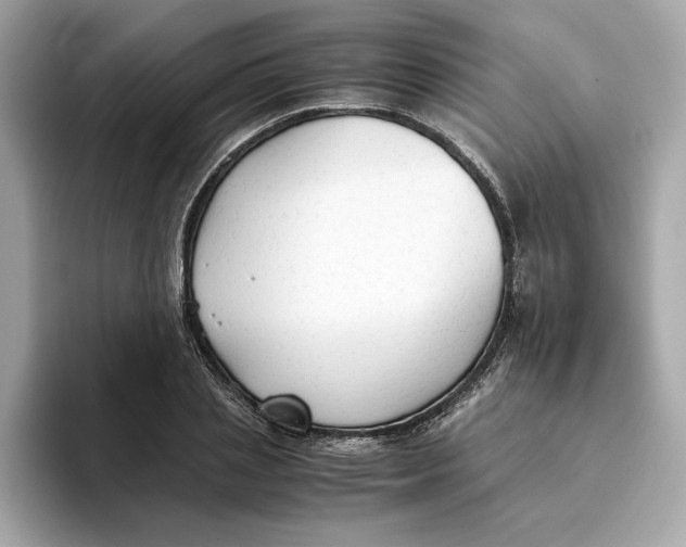 X0000093510837200711021026