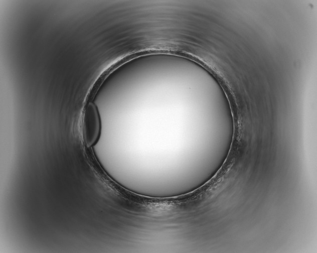 X0000093510838200711021026