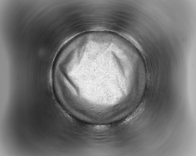 X0000093510839200711021026