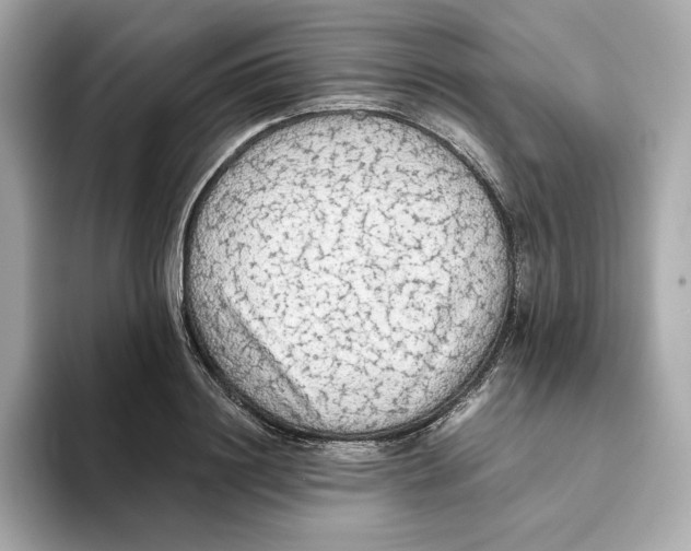 X0000093510844200711021026