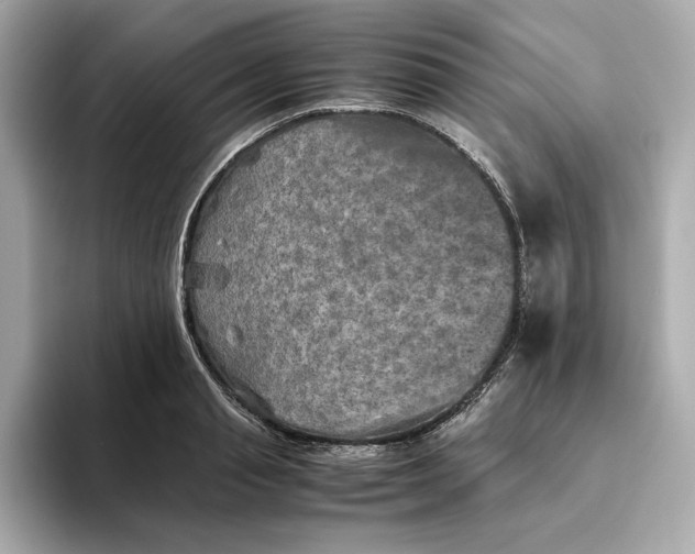 X0000093510845200711021026