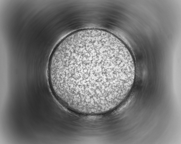 X0000093510847200711021026