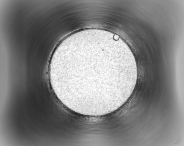 X0000093510848200711021026