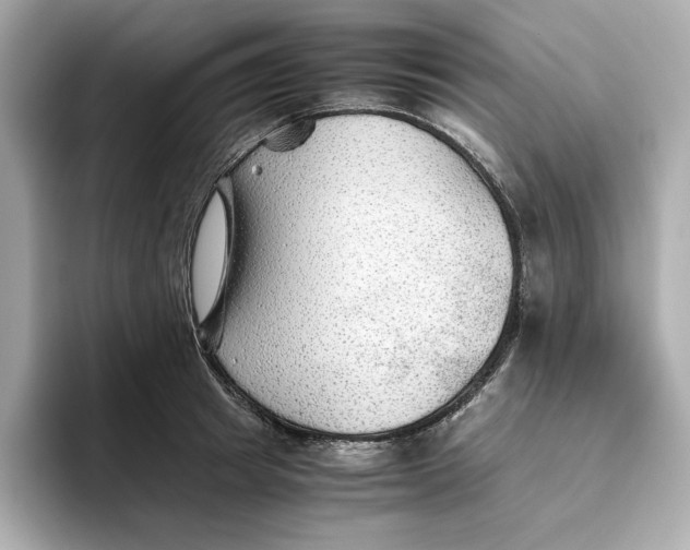 X0000093510849200711021026