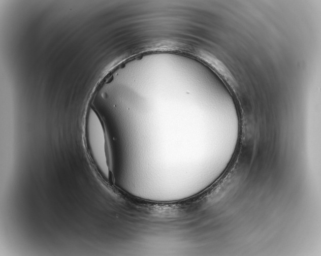 X0000093510850200711021026