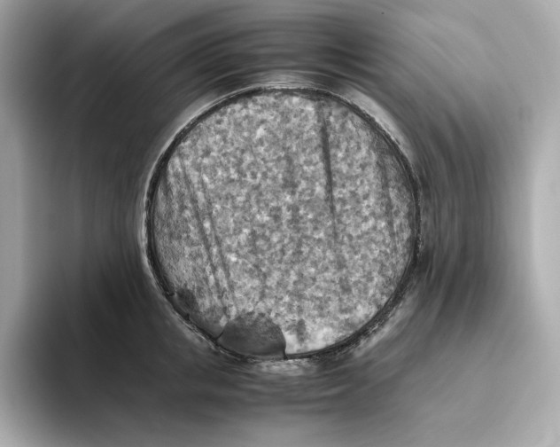 X0000093510853200711021026