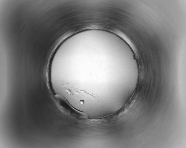 X0000093510861200711021027