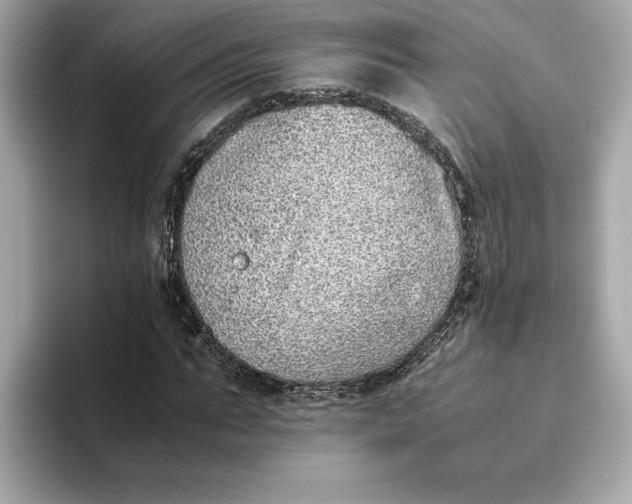 X0000093510871200711021026