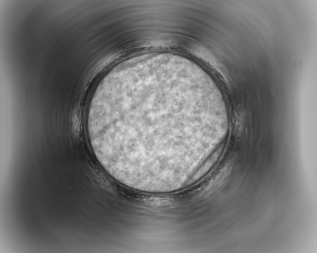 X0000093510874200711021026