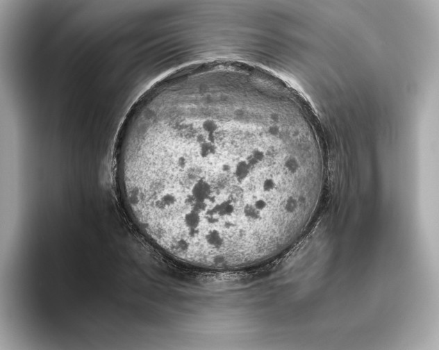 X0000093510879200711021026