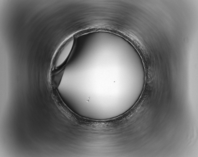 X0000093510880200711021026