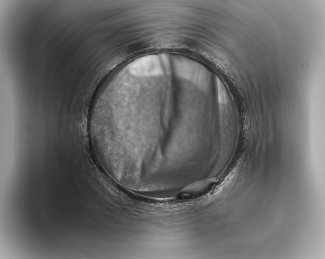 X0000093510881200711021026