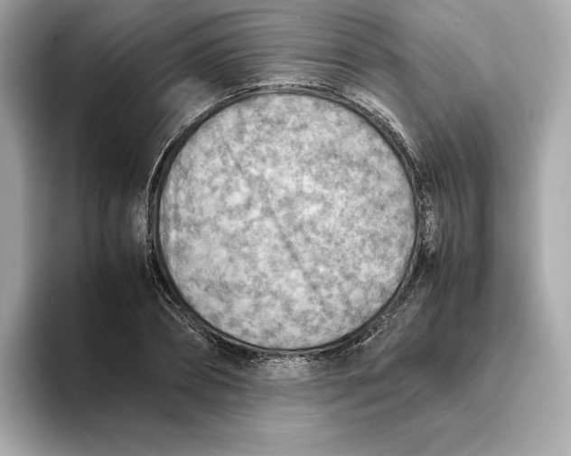 X0000093510882200711021026